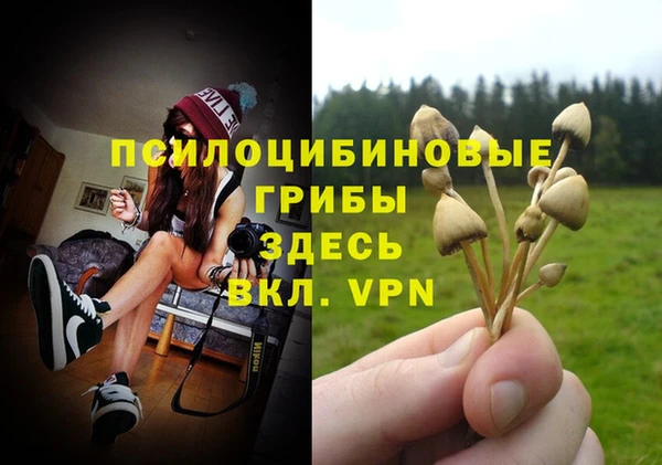 крисы Медногорск