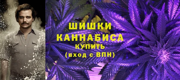 скорость Медвежьегорск