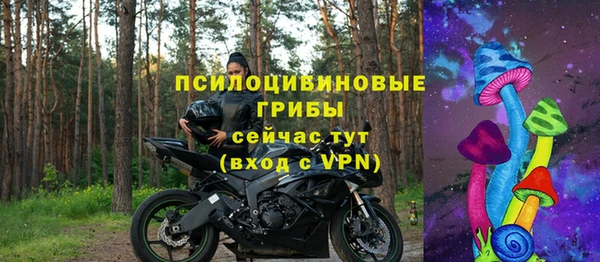 скорость Медвежьегорск