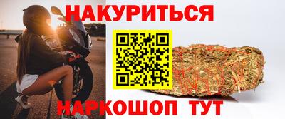 сатива Абинск