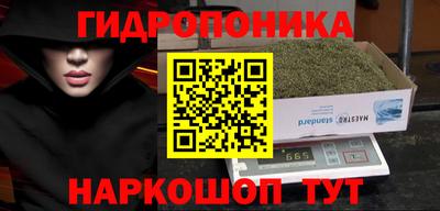 эйфоретик Будённовск