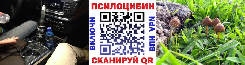 где купить наркотик Еманжелинск Галлюциногенные грибы Psilocybe