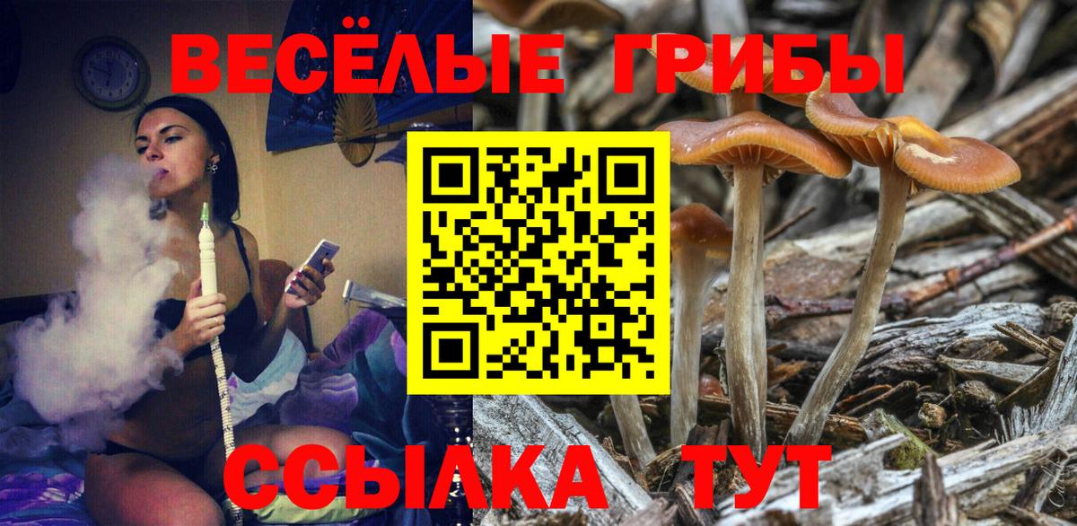 Галлюциногенные грибы ЛСД Еманжелинск